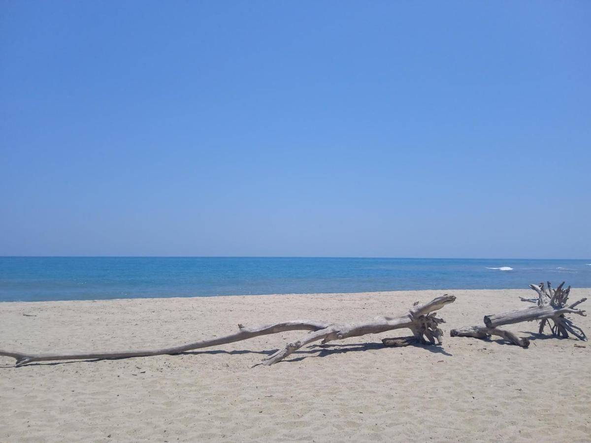 Bob Marley Beach Guachaca Kültér fotó