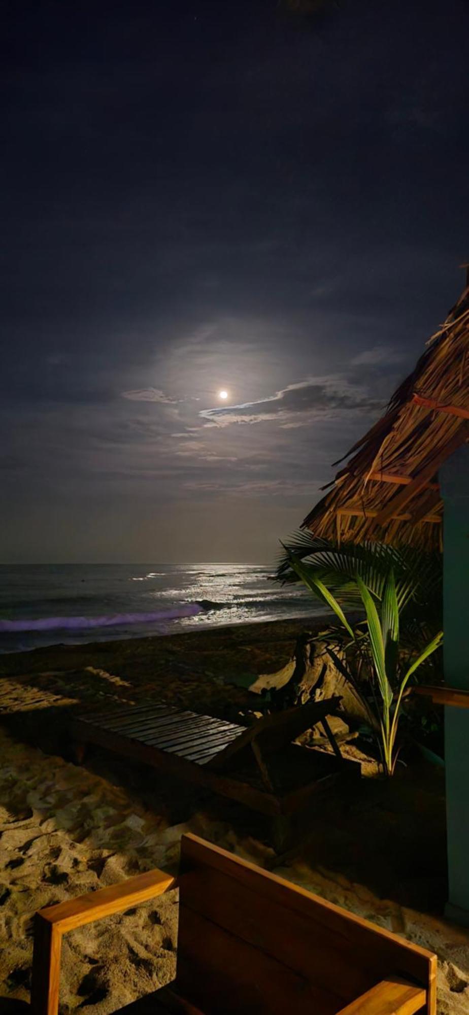Bob Marley Beach Guachaca Kültér fotó